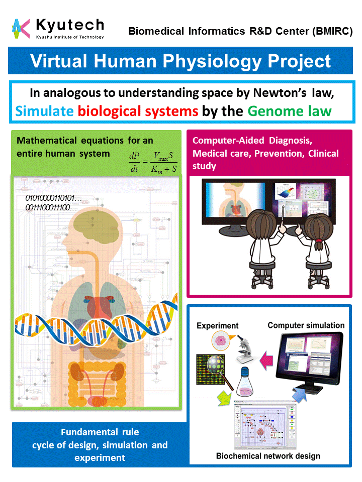 Virtual Human Physiology
